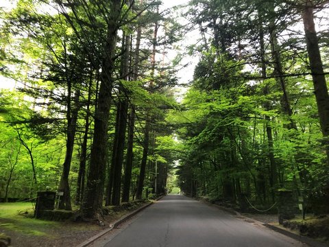 土地だけで数億円！？高級別荘地、旧軽井沢をご紹介します【軽井沢の別荘】 - 軽井沢のリゾートホームBLOG／軽井沢 で不動産・別荘のことなら株式会社リゾートホーム