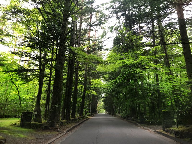 土地だけで数億円！？高級別荘地、旧軽井沢をご紹介します【軽井沢の別荘】 - 軽井沢のリゾートホームBLOG／軽井沢で不動産・別荘 のことなら株式会社リゾートホーム